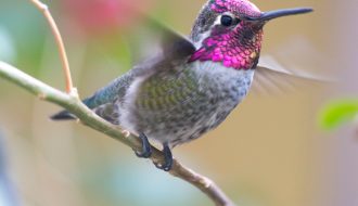 pexels-joseph-vogel-6199497