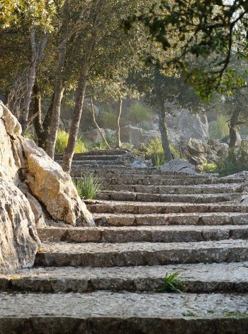 path-g08285e584_1920