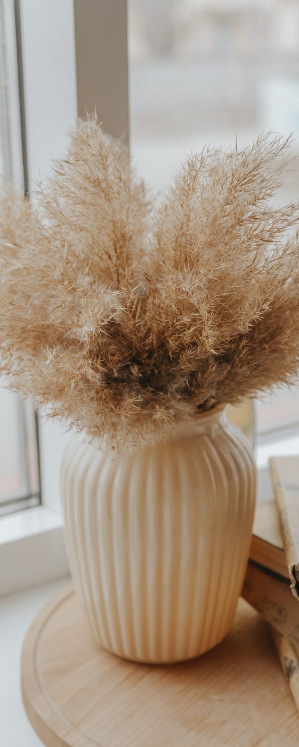 pexels-marina-abrosimova-7234157