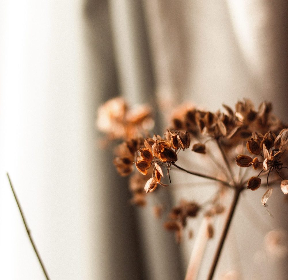 pexels-mathias-pr-reding-7664130